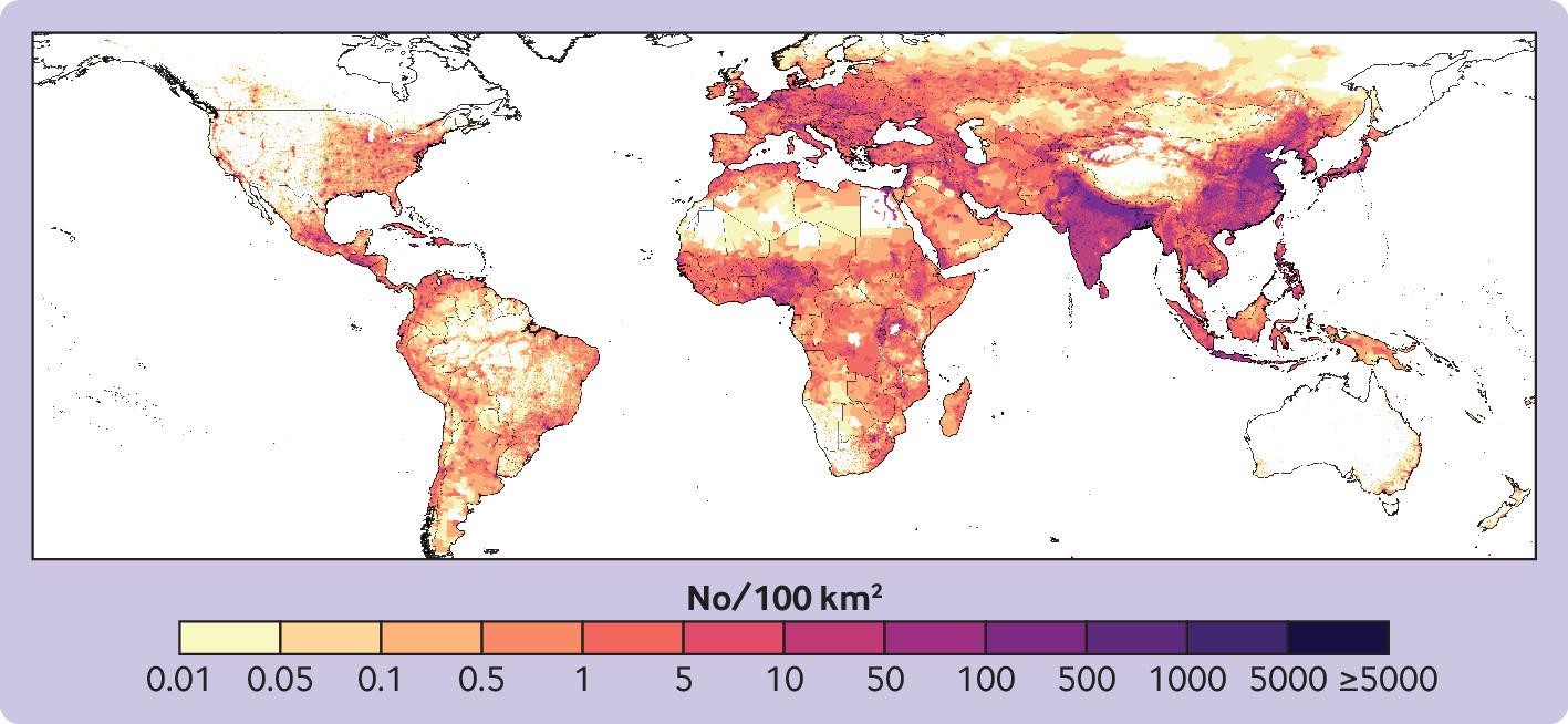 Muertes anuales por todas las causas atribuibles a las partículas finas (PM2,5) y al ozono (O3) en 2019. Las unidades son números por área de 10 km×10 km.