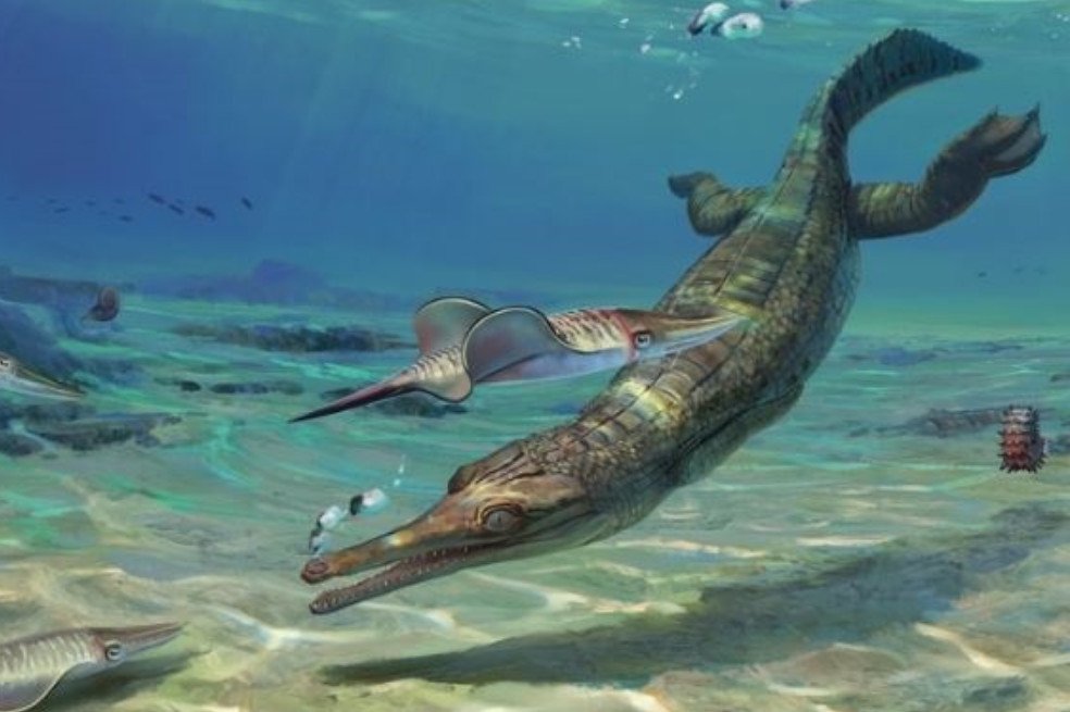 Encuentran antiguo fósil que sería el ancestro del cocodrilo