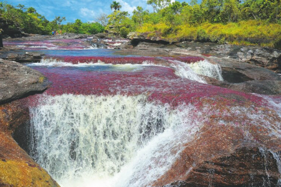 Una cooperación para exaltar el patrimonio ecológico de Colombia