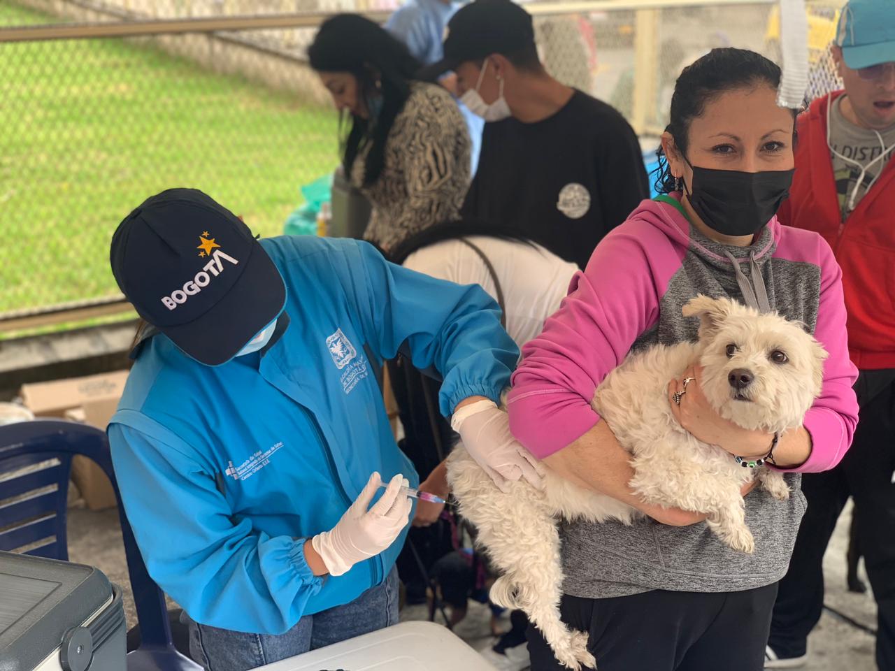 El moquillo o distemper canino tiene en alerta al Bienestar de Protección Animal del Distrito, tanto así que el pasado 24 de julio se emitió una alarma en la capital ante el incremento de los casos.