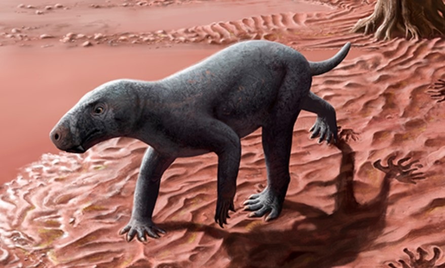 Científicos describen al ancestro de los mamíferos más antiguo del mundo