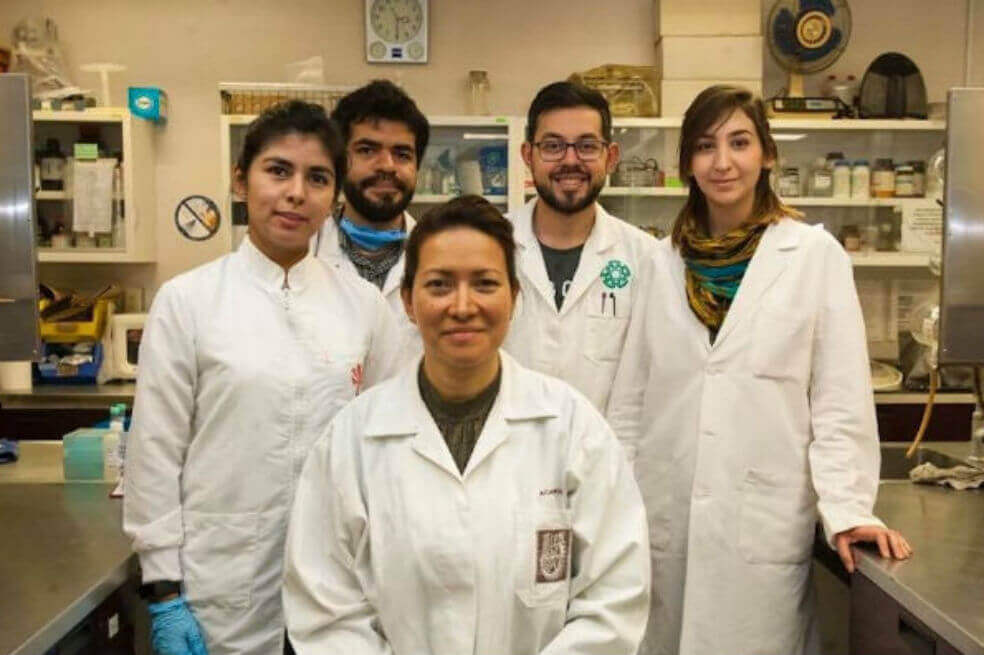 Eliminan el virus del papiloma humano en México