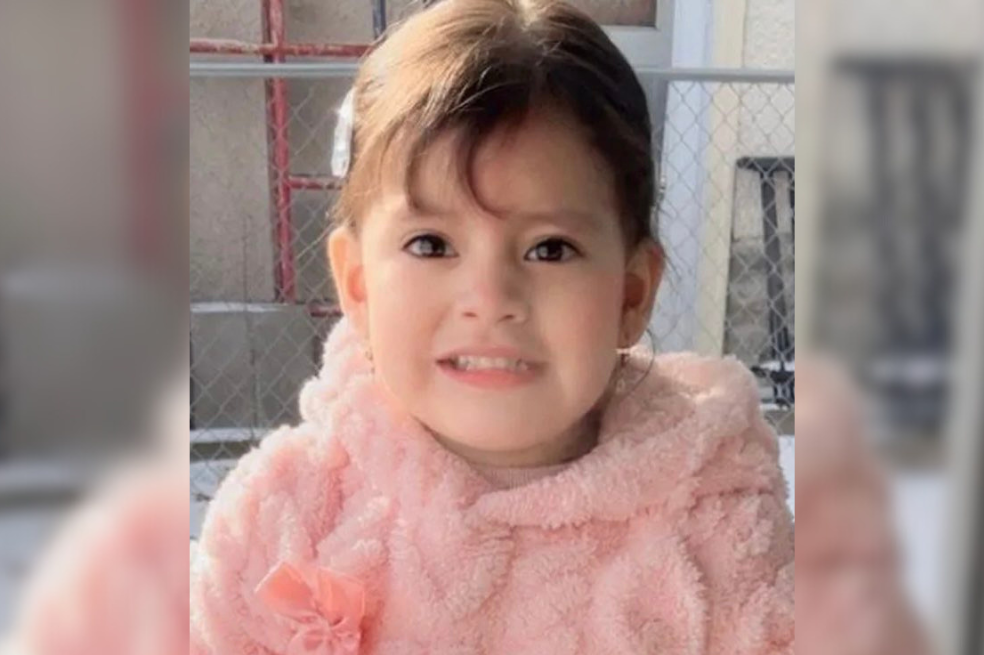 ICE detuvo a una niña de dos años y a su padre durante operativo migratorio en Minneapolis