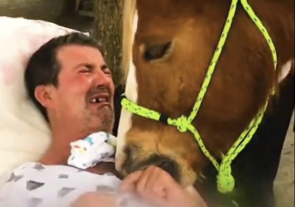 En video quedó evidenciado el poder sanador y liberador que tienen los animales