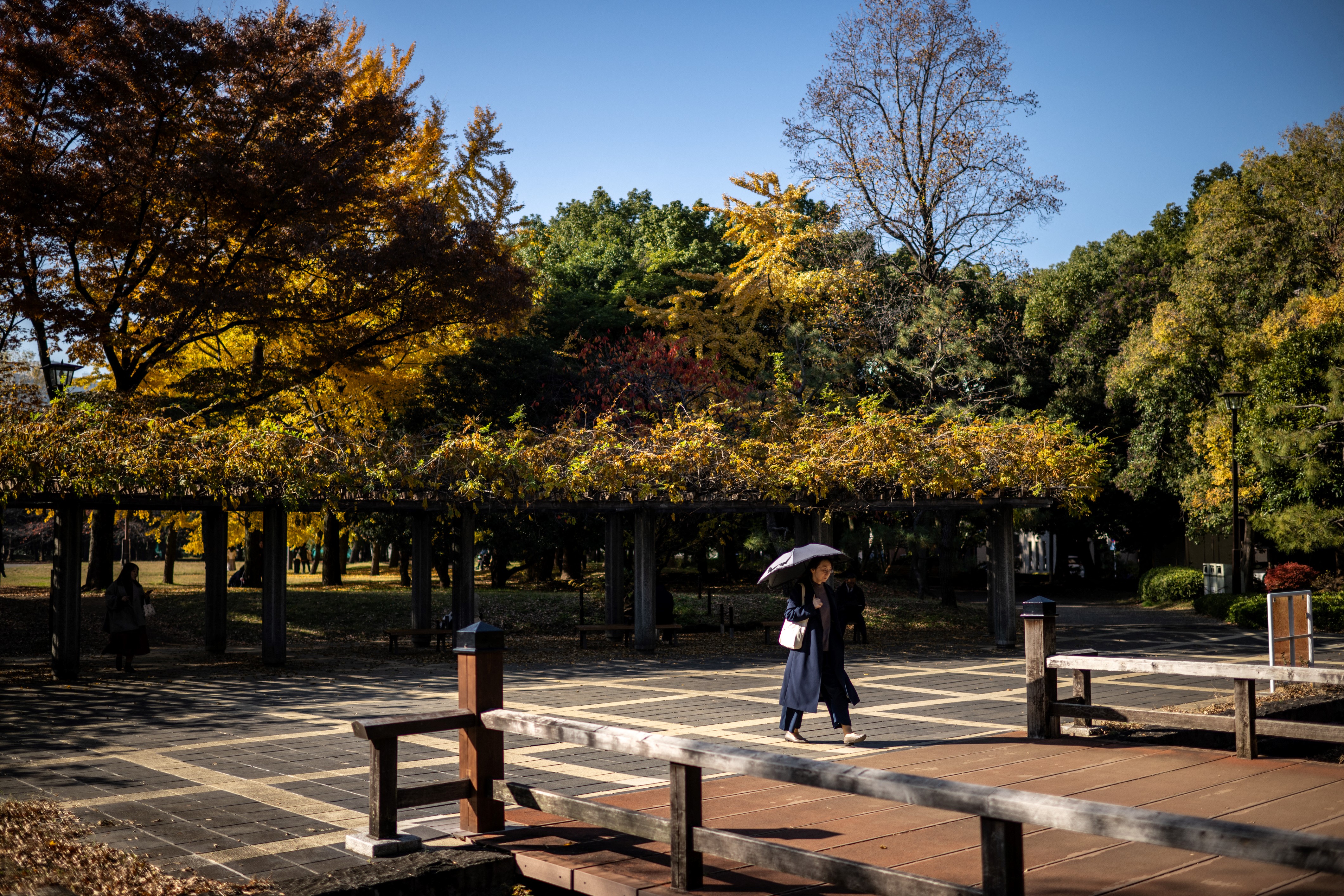A woman walks past trees in autumn colour at a park outside Kiyosumi Garden in Tokyo on December 3, 2024.