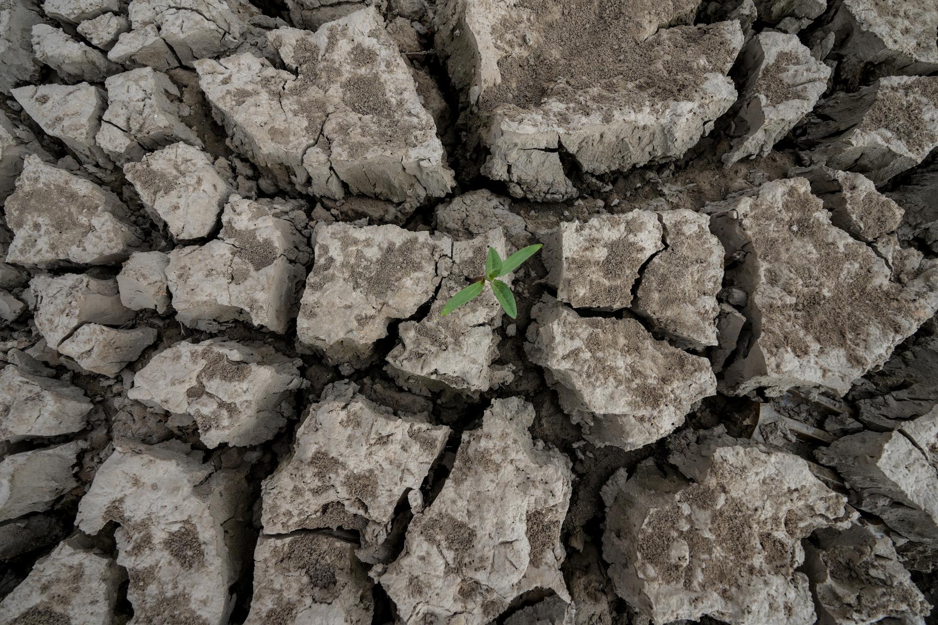 Tartous (Syrian Arab Republic), 15/09/2025.- Cracks resulting from the drying up of a large portion of the Abrash Dam in the Tartous countryside of Syria, 09 September 2025 (issued 15 September 2025). According to the Food and Agriculture Organization of the United Nations (FAO), Syria is facing a severe agricultural crisis this year due to the worst drought in more than six decades, which is seriously threatening agriculture and increasing the likelihood of food insecurity for approximately 16 million people. (sequía, Siria) EFE/EPA/AHMAD FALLAHA