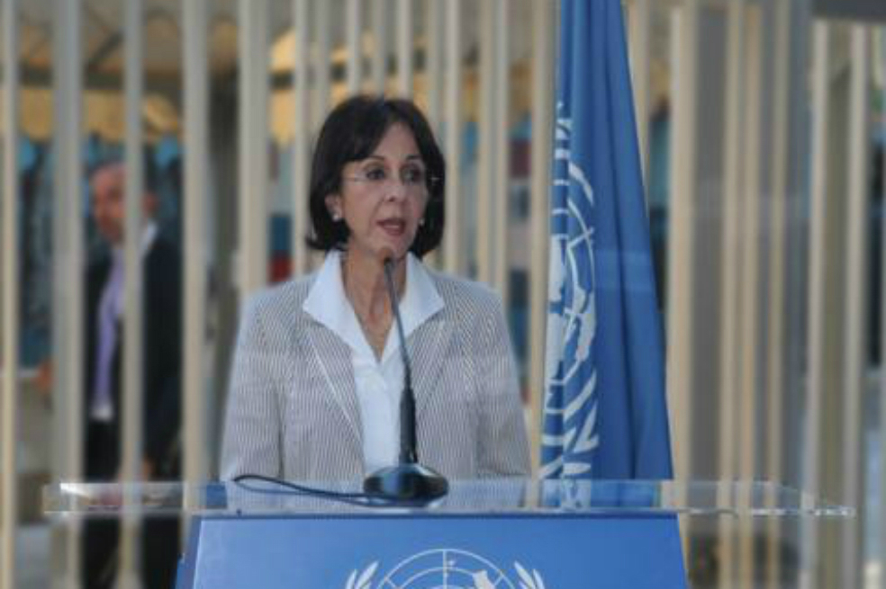 El informe contra Israel que motivó la renuncia de una directiva de la ONU