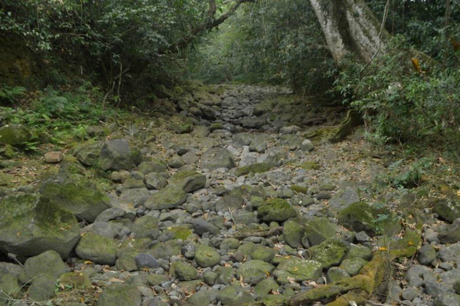 Atoyac, el río de México que desapareció completamente en una noche