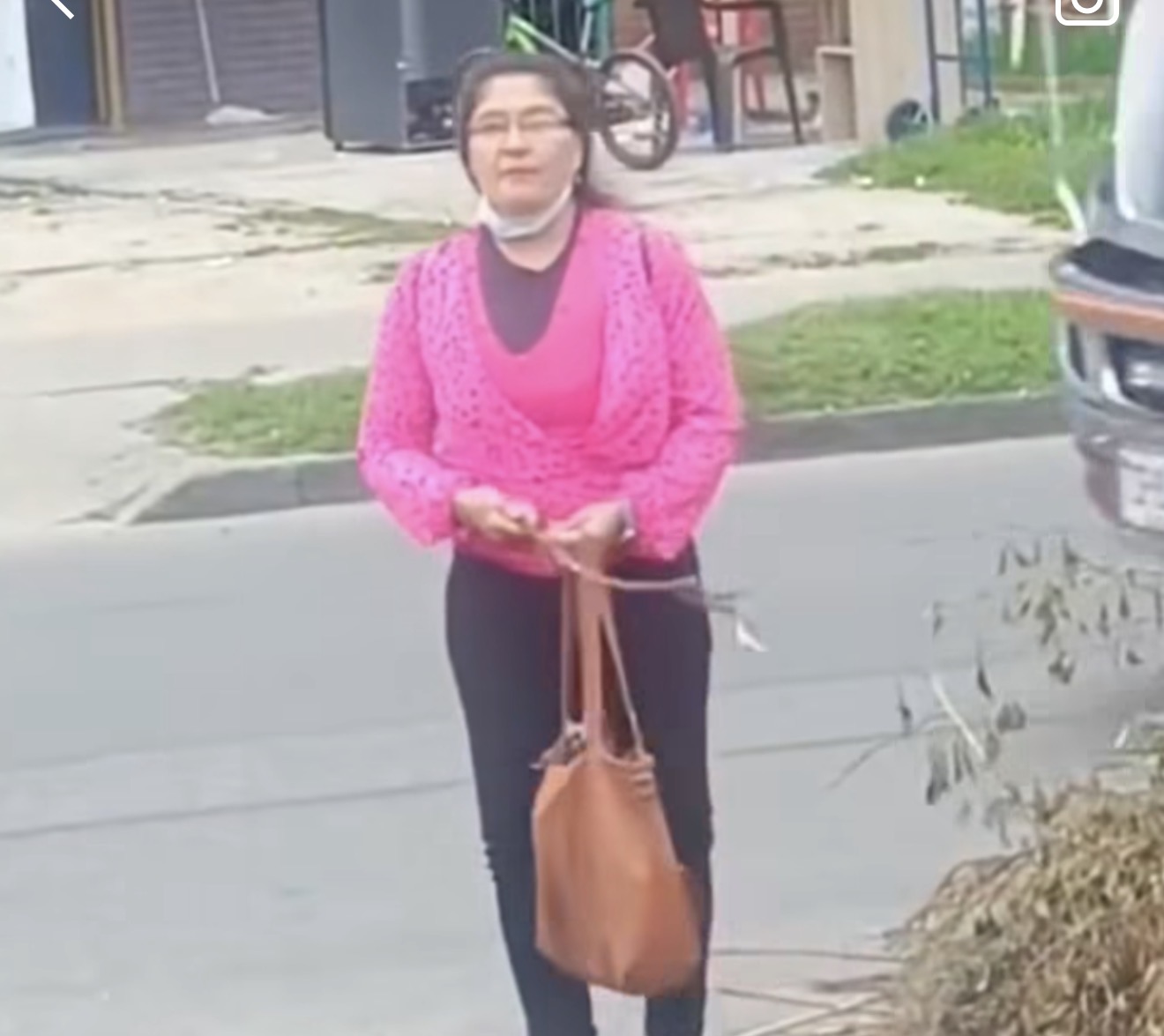 Denuncian envenenamiento de perros en Quirigua: vecinos señalan a una mujer