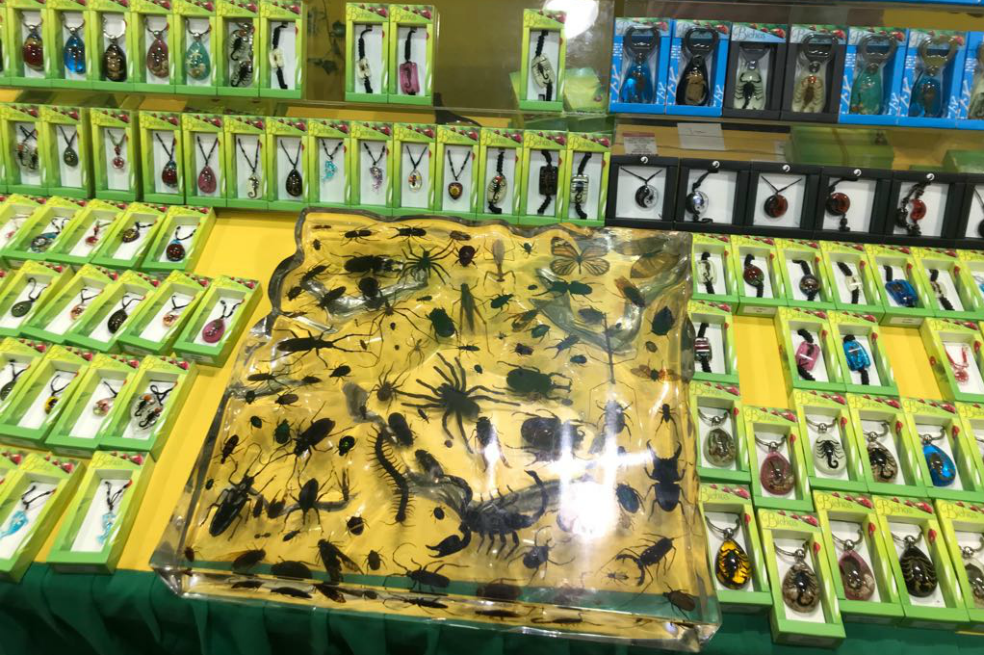 Incautan fauna exótica en la Feria del Libro de Bogotá