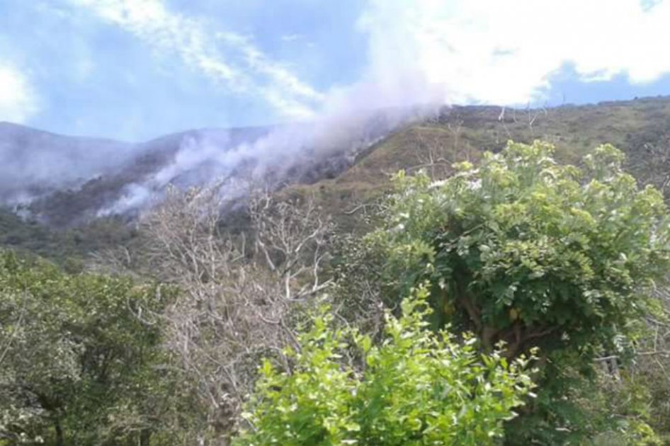 Alarma en Cundinamarca por incendio forestal que completa 36 horas