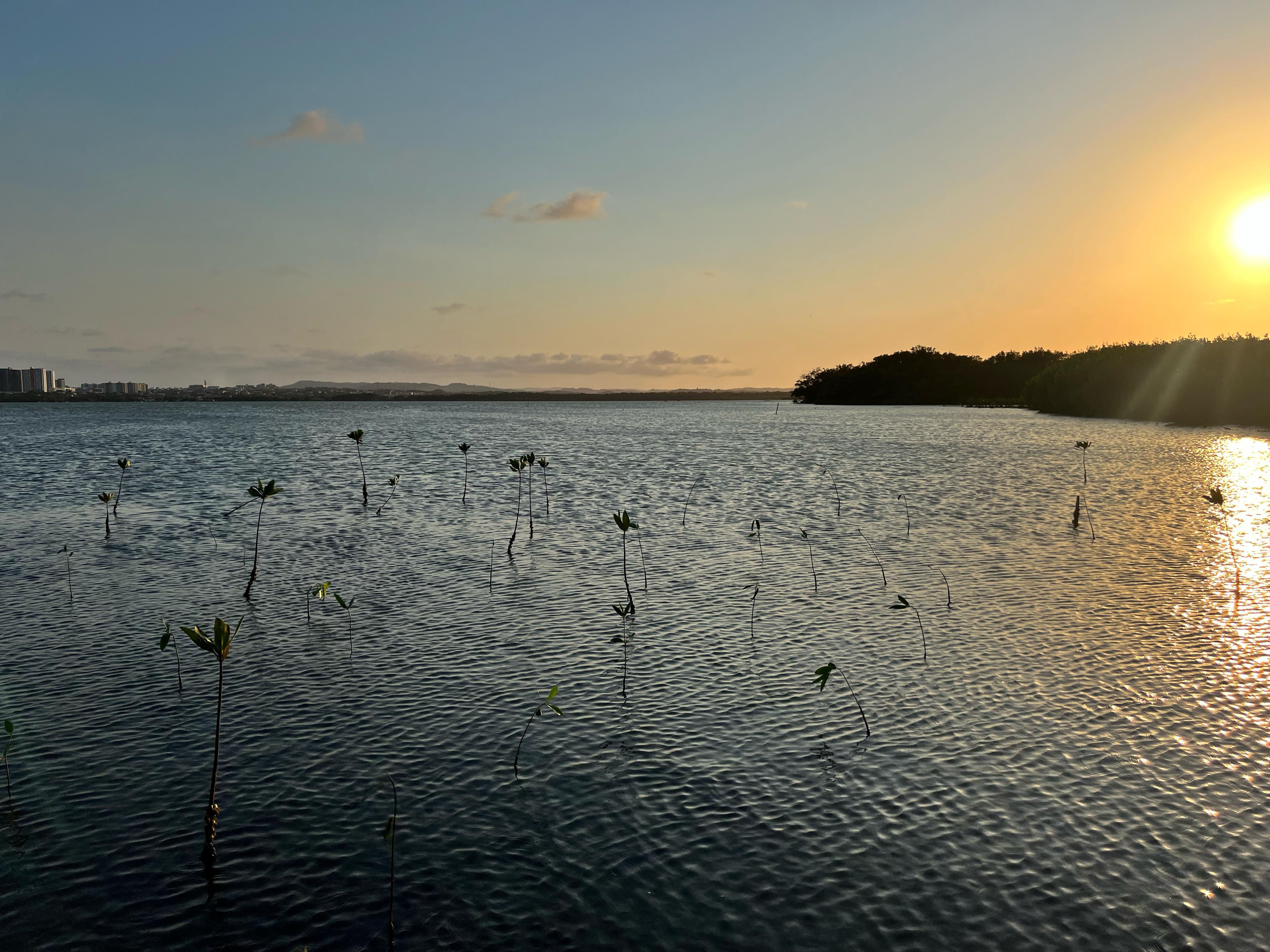 Este modelo de turismo contribuye a la protección de la biodiversidad y al bienestar de los habitantes de la zona.