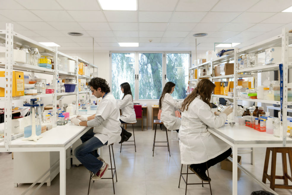 Corte Constitucional ordena tramitar de nuevo la ley que creó al Ministerio de Ciencia