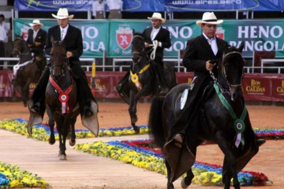 Momentos de pánico en Hipódromo de Los Andes por colapso de una carpa