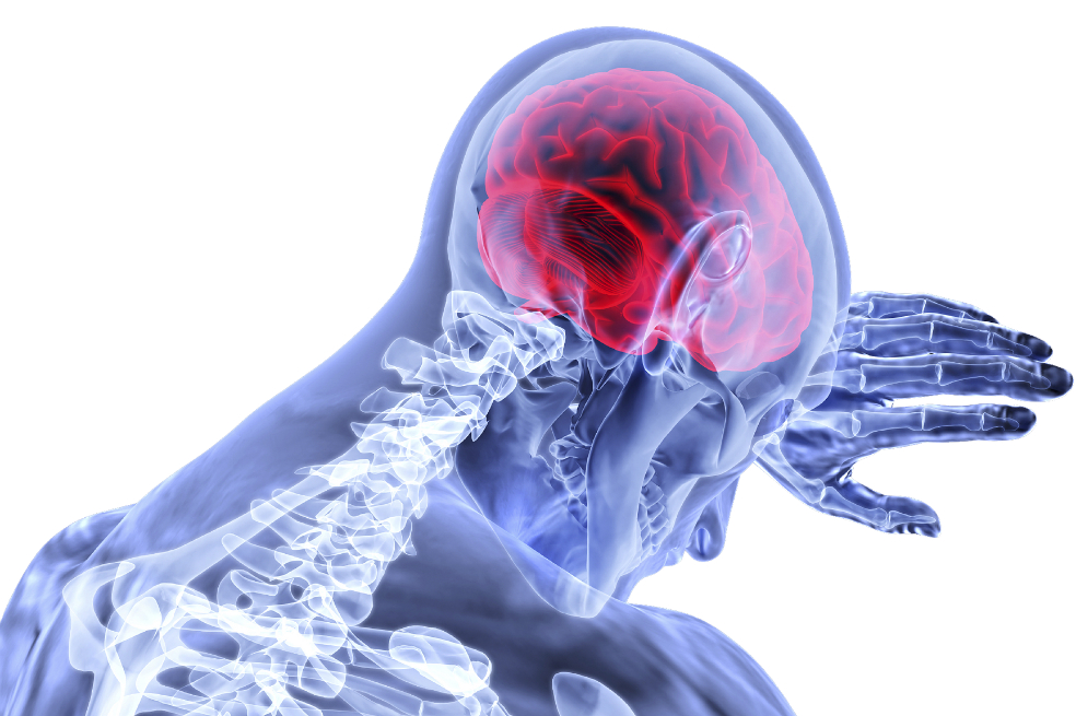 Científicos descubren nuevo método para combatir Alzheimer