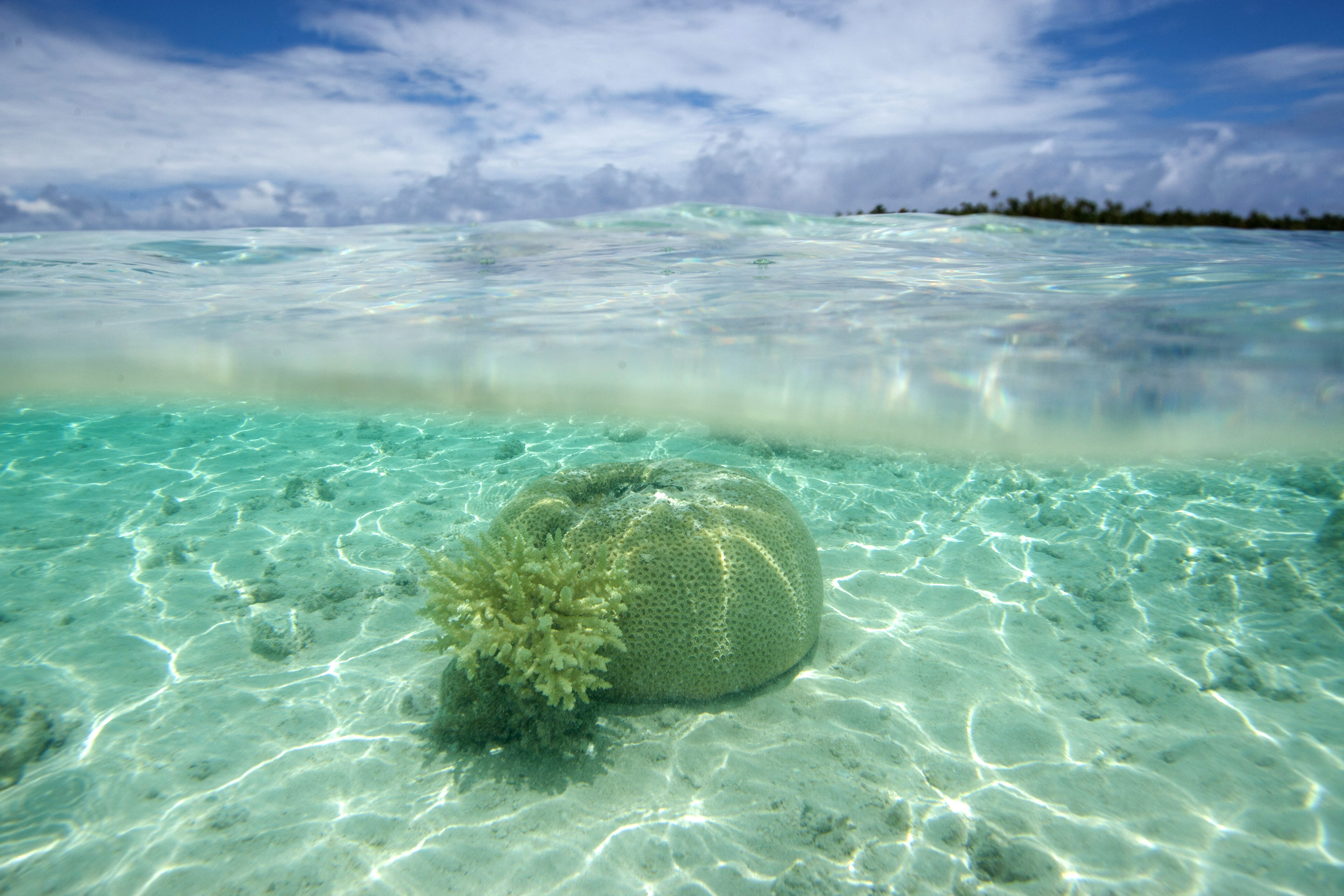 (FILES) A picture shows coral reefs in the lagoon of the Toau atoll, about 400 kilometres (250 miles) from Tahiti in the Tuamotu Archipelago in the French polynesia, on October 14, 2015. AFP PHOTO / GREGORY BOISSY