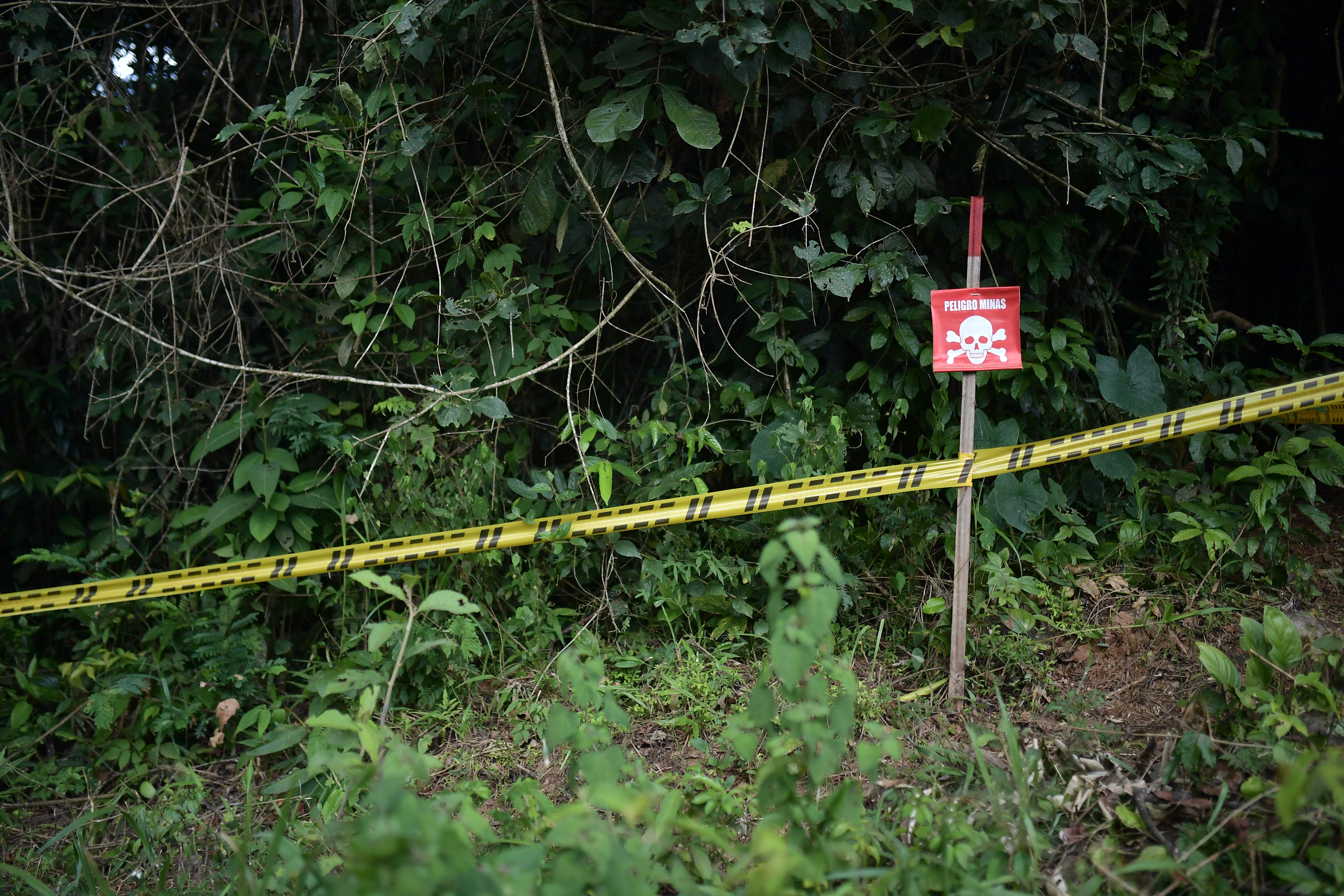 Mujer y sus dos hijos resultaron heridos tras explosión de mina antipersona en Tibú