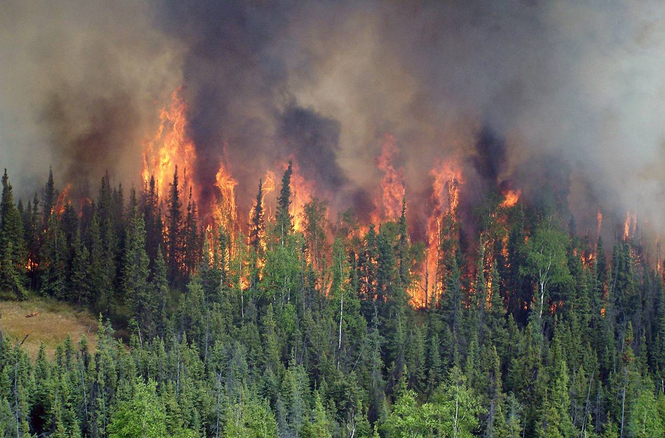 Incendios en Alaska se dispararon en el último siglo como nunca en los últimos 3.000 años