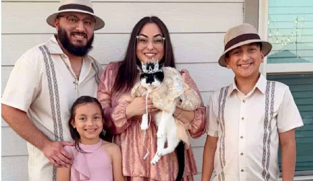 Gata celebra su cumpleaños y salva un refugio de animales: esta es la historia