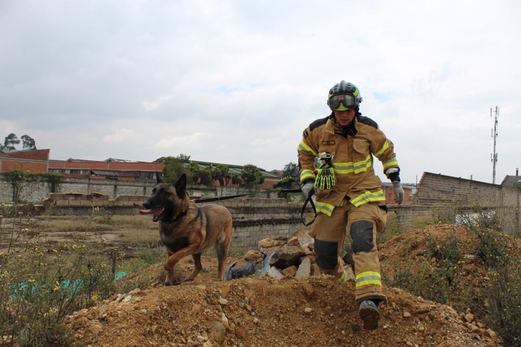 ¿Cómo entrenar a un perro de búsqueda y rescate en Colombia?