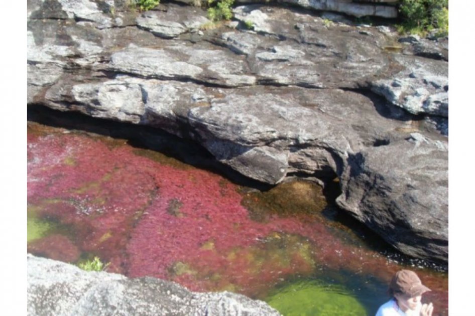 El pasado y presente de Caño Cristales