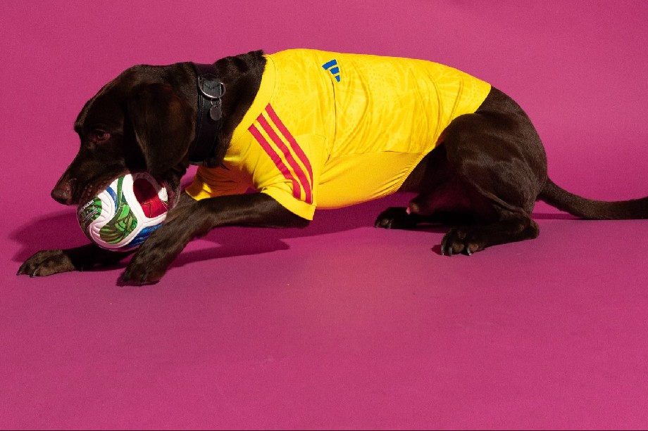 Camisetas oficiales para mascotas del Mundial 2026: ¿dónde comprarlas?