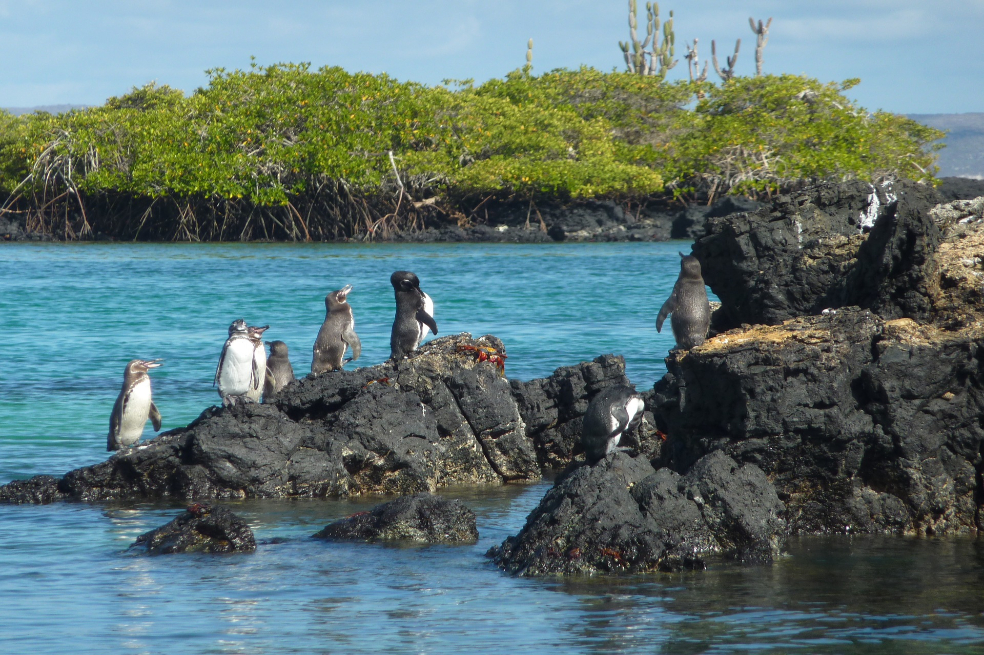 Galápagos reabre sitios turísticos y reserva marina, cerrados por la pandemia