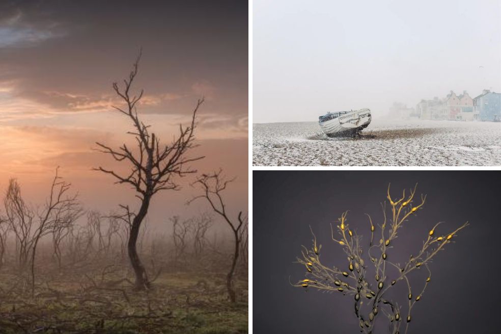 Landscape Photographer: estas son las mejores imágenes de los paisajes del mundo