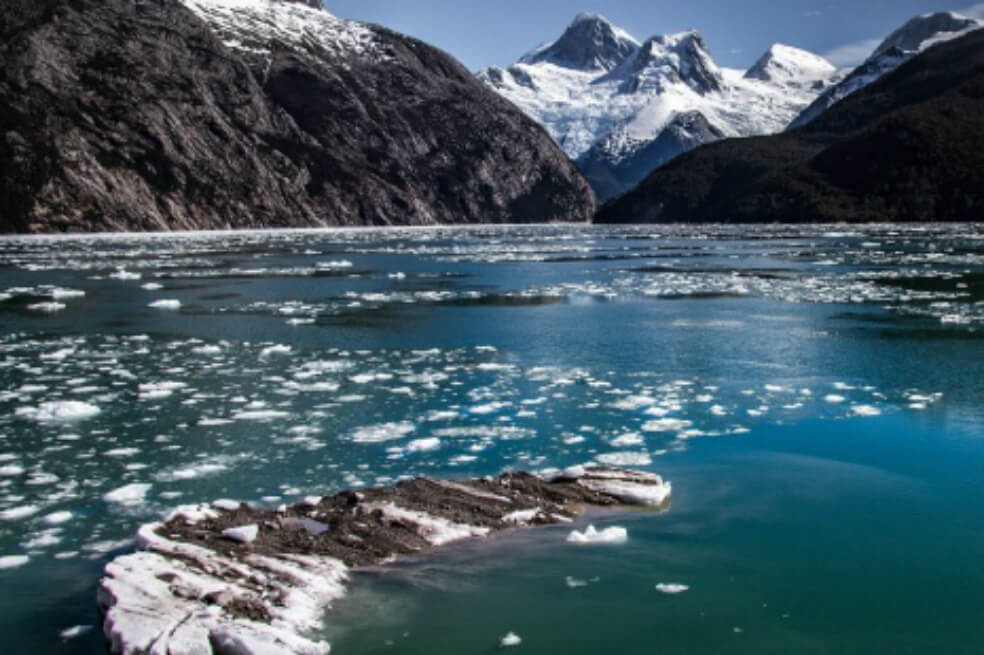 La biodiversidad marina estaría amenazada por el retroceso de glaciares patagónicos en Chile