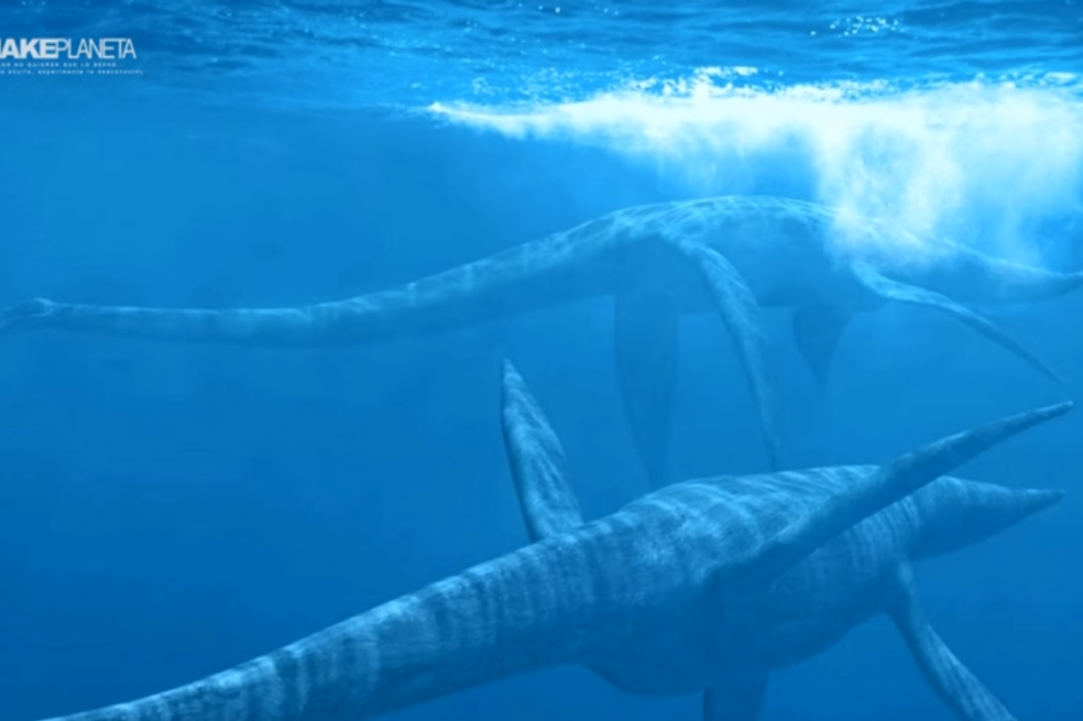 Hallan restos de reptil marino de 150 millones de años