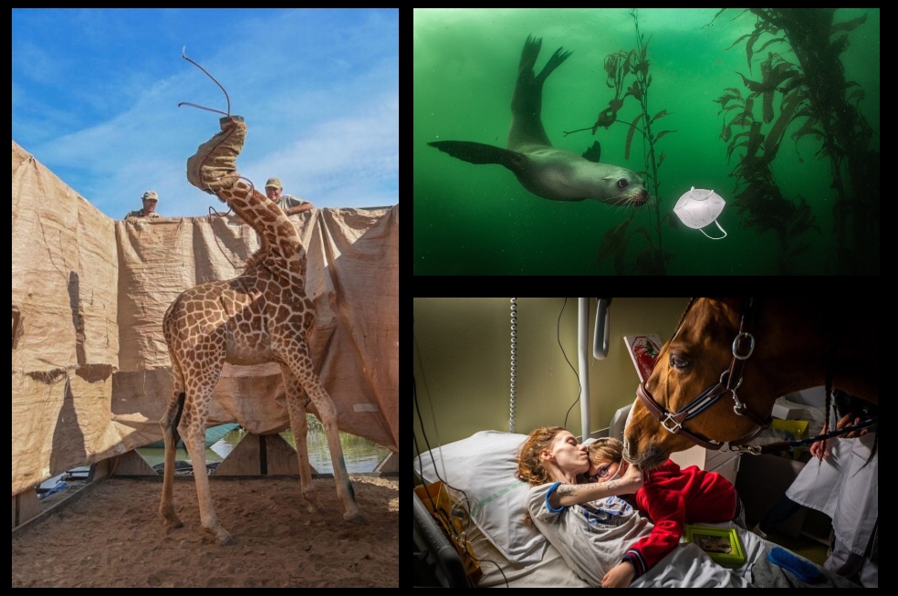 World Press Photo: las mejores fotografías que dejó el año de la pandemia