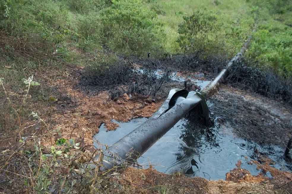 Los delitos ambientales de las Farc