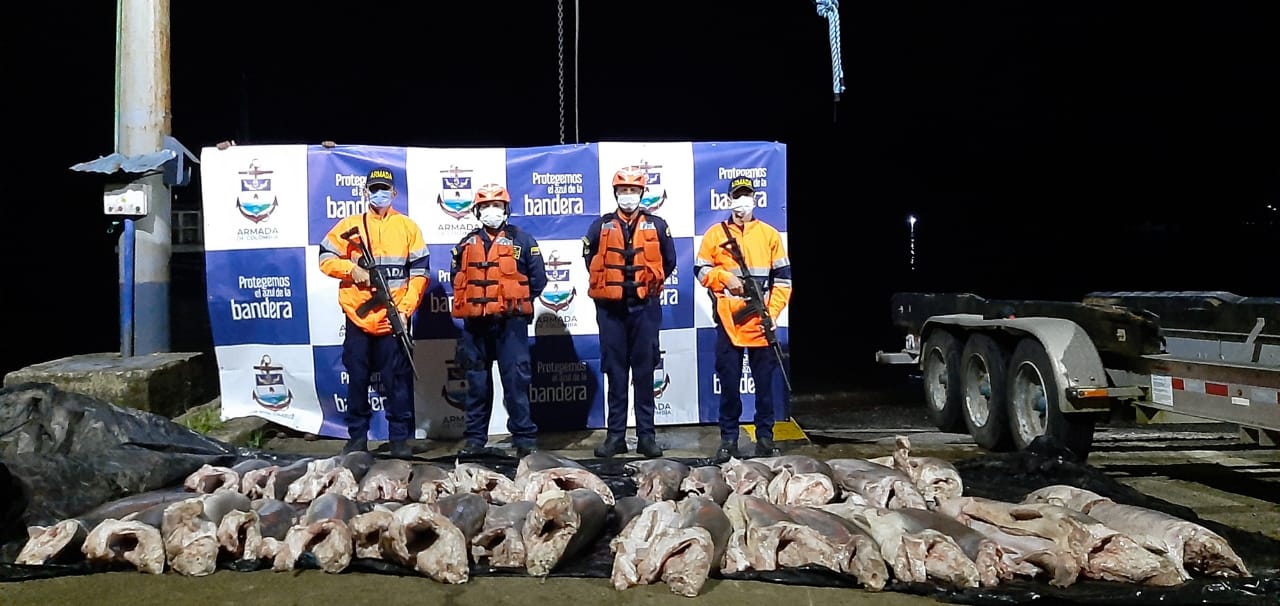 Incautan 900 kilogramos de tiburón en Chocó