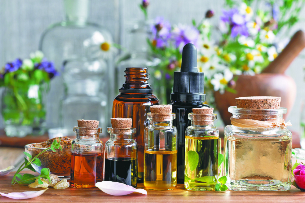 El poder de las plantas medicinales