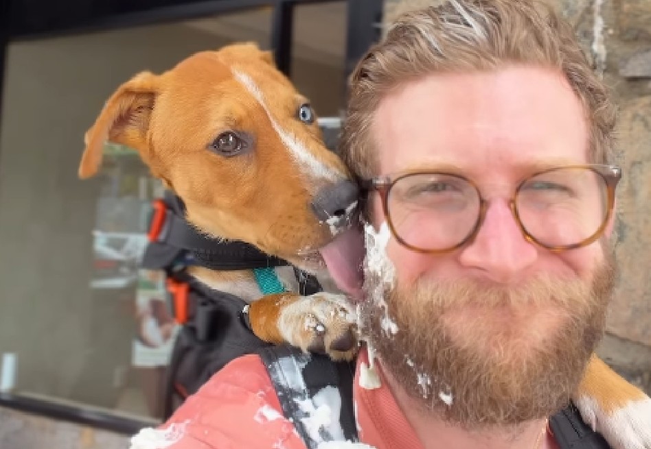 Creador de contenido pasea perros rescatados por Nueva York con cartel que dice “adóptame”
