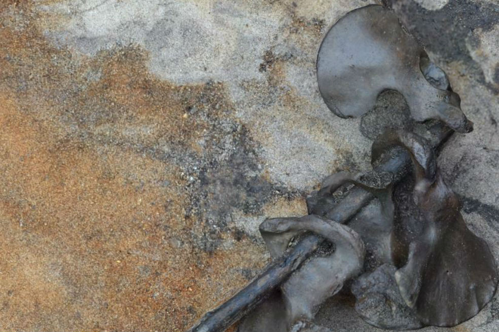 Restos óseos en Dinamarca desvelan un feroz combate de hace 2.000 años