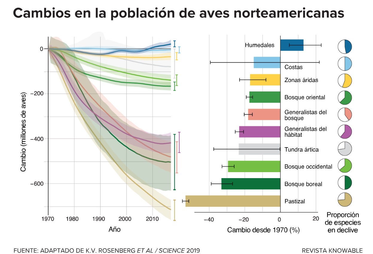 Así ha cambiado la población de aves norteamericanas.