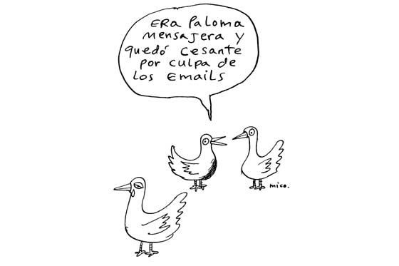 Paloma