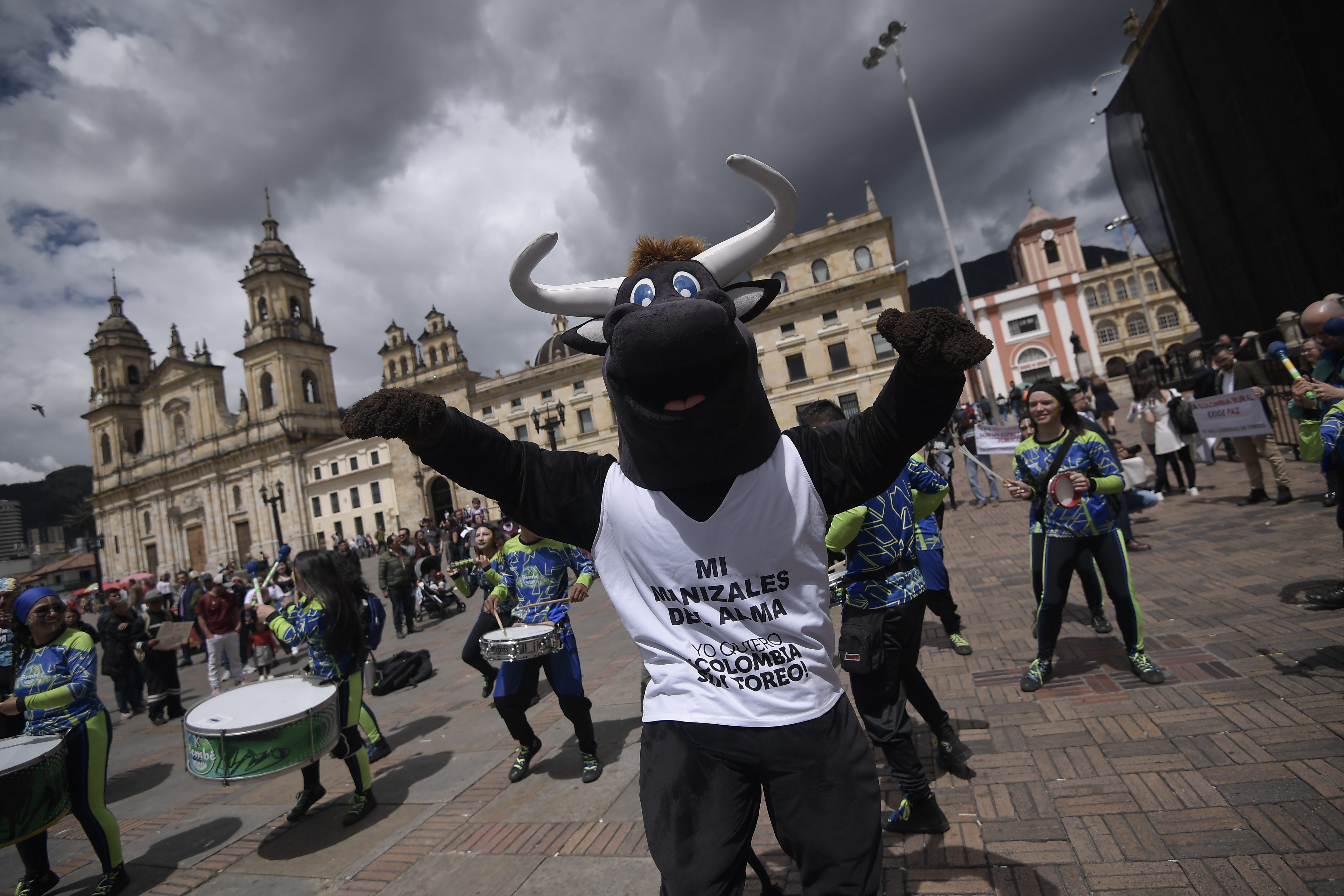 “Debemos ir por la abolición, los animales no necesitan regulación”: Colombia Sin Toreo