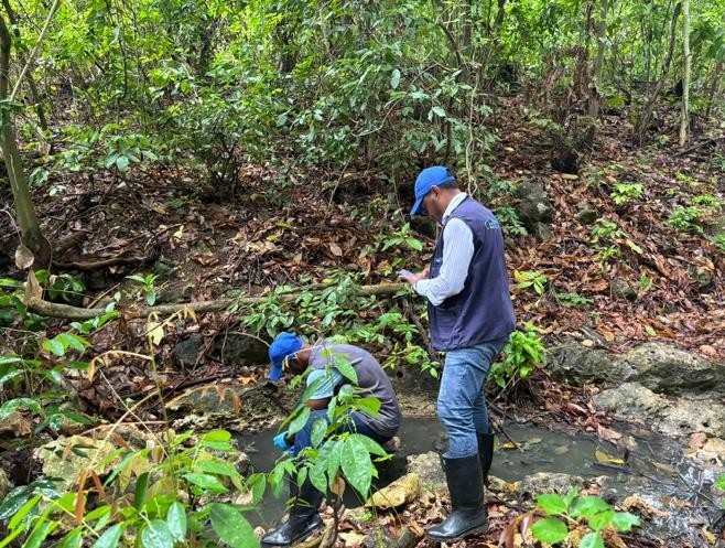 De acuerdo con Coralina, las aguas que se vierten provienen de la limpieza de elementos de cocina y el uso de la planta de tratamiento de aguas residuales.