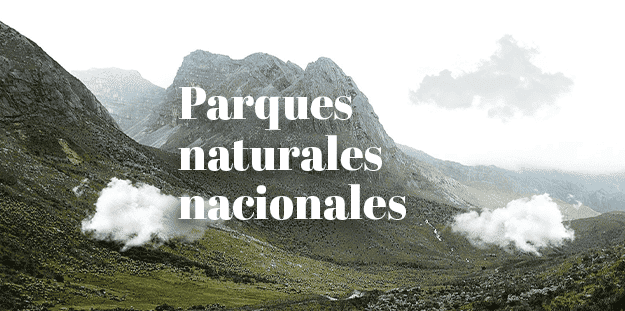 ¿Quién protege a los Parques Nacionales Naturales de Colombia?