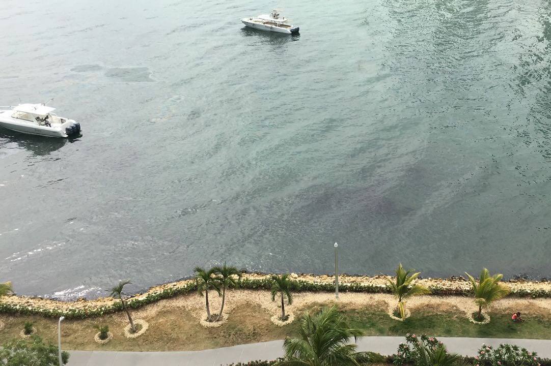 Reducción de actividades marinas favorece al ecosistema de la bahía de Cartagena