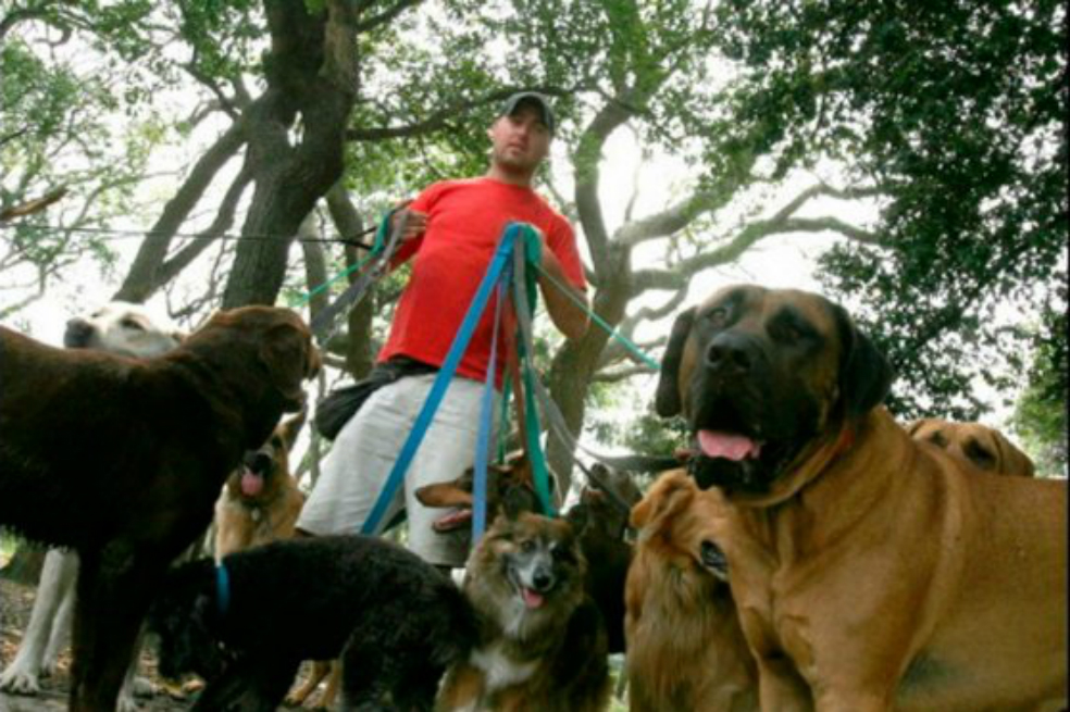 Paseadores de perros, más solicitados que maestros