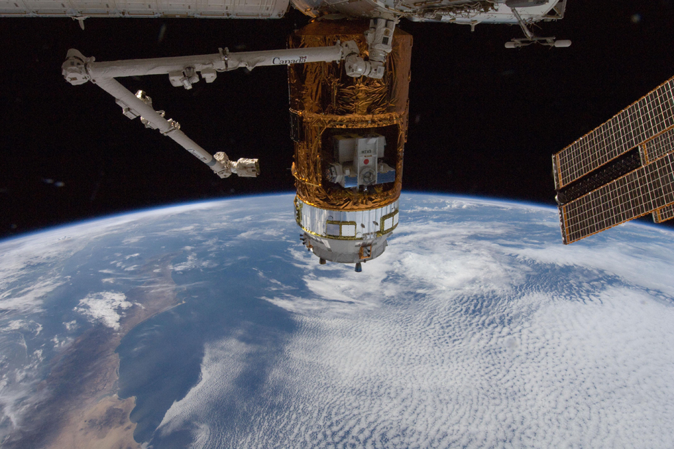 Reproducirse en el espacio sería posible según expertos japoneses