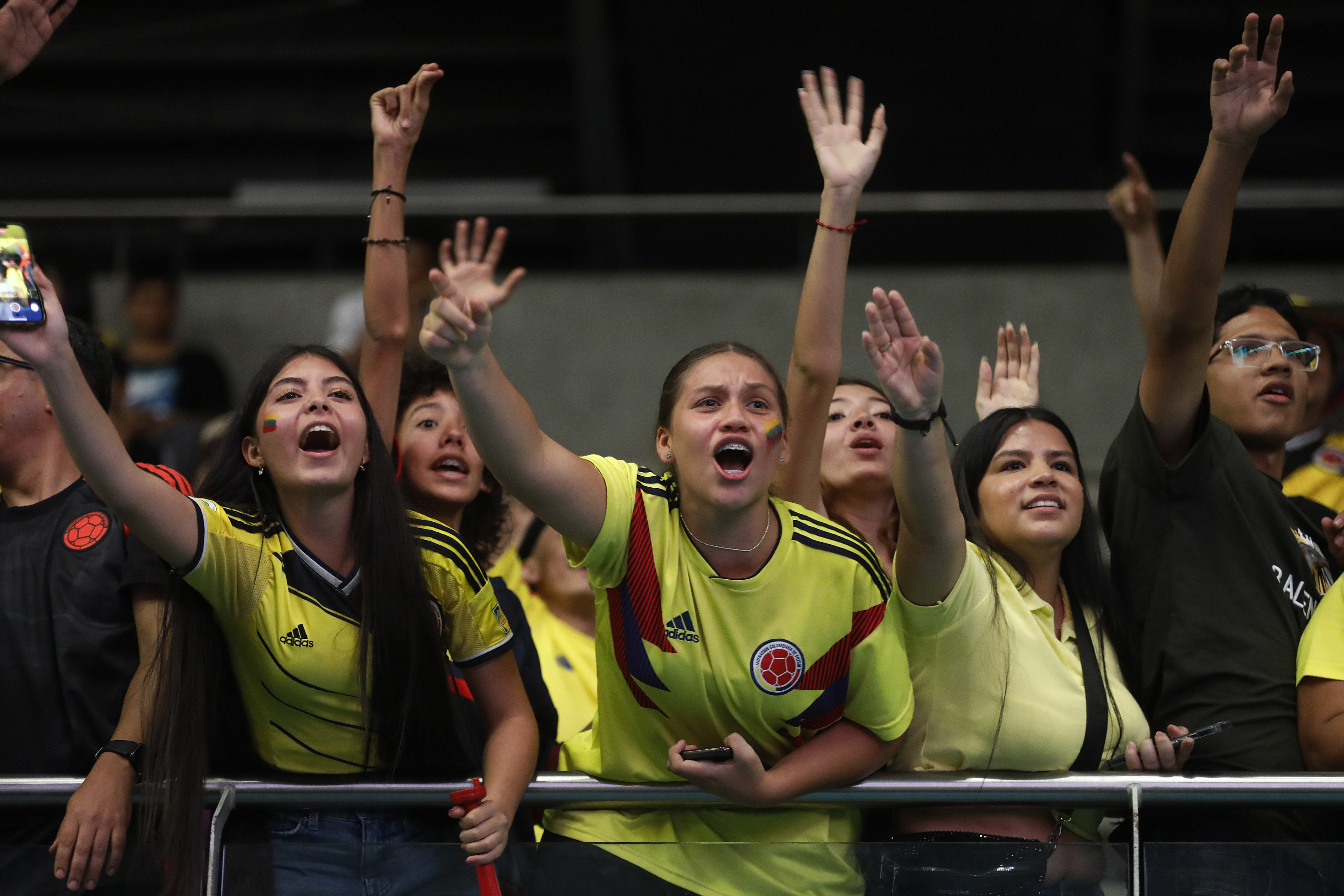 Aliste la tricolor: tres parques de Bogotá proyectarán el partido Colombia vs Panamá