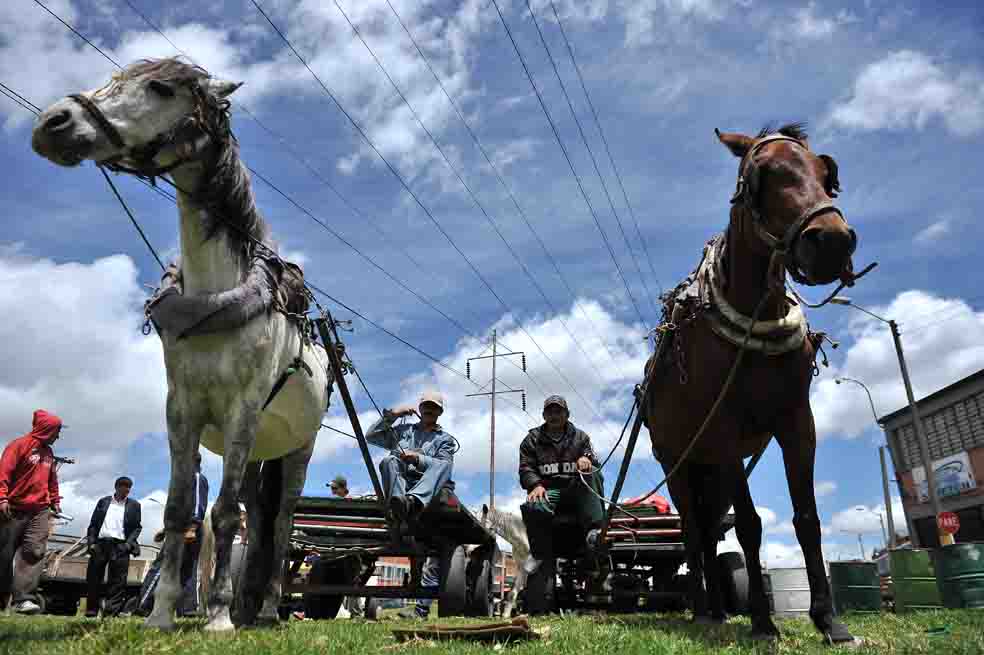 Carreteros se manifestaron en la Plaza de Bolívar