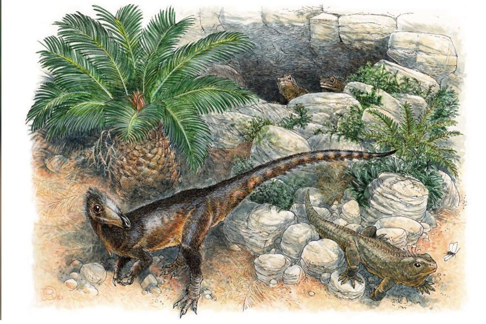 Científicos descubren que una especie de dinosaurio era del tamaño de un pollo