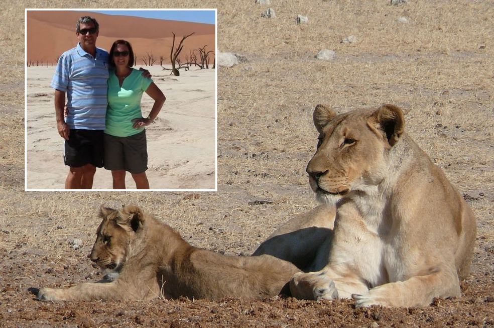 En Namibia, una leona mata a un empresario durante un safari en el desierto