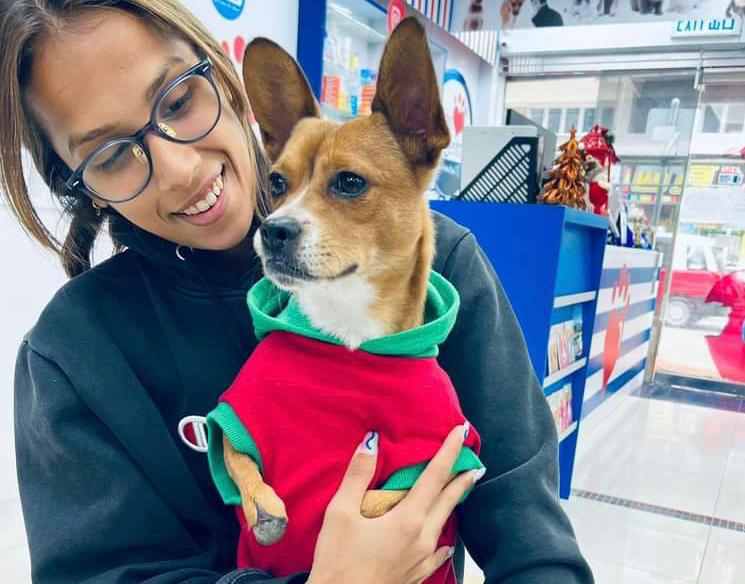 Perrita que fue rescatada sin garras recibirá botas especiales como regalo de Navidad