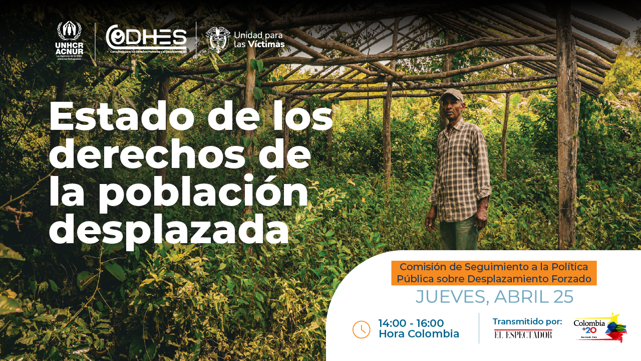 Estado de los derechos de la población desplazada